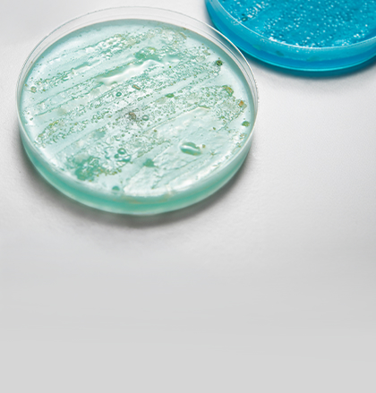 Microbiologia