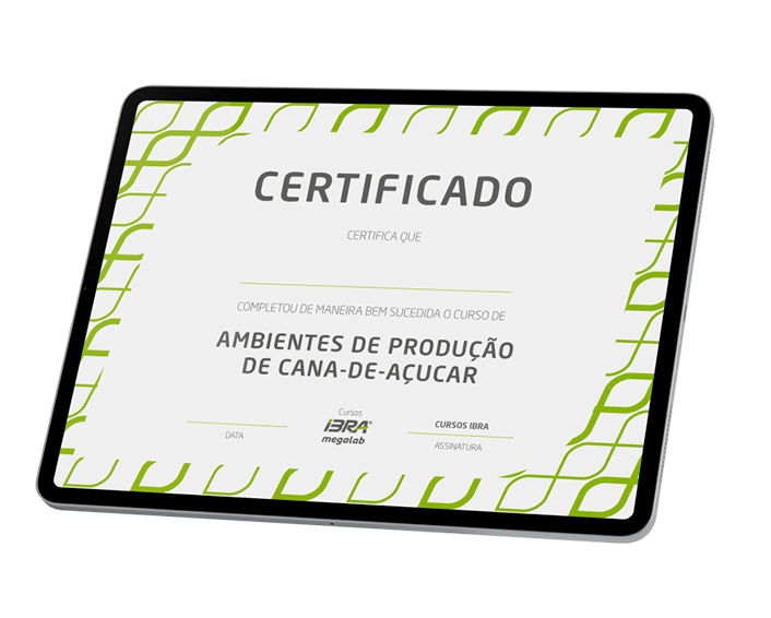 Certificado Ibra