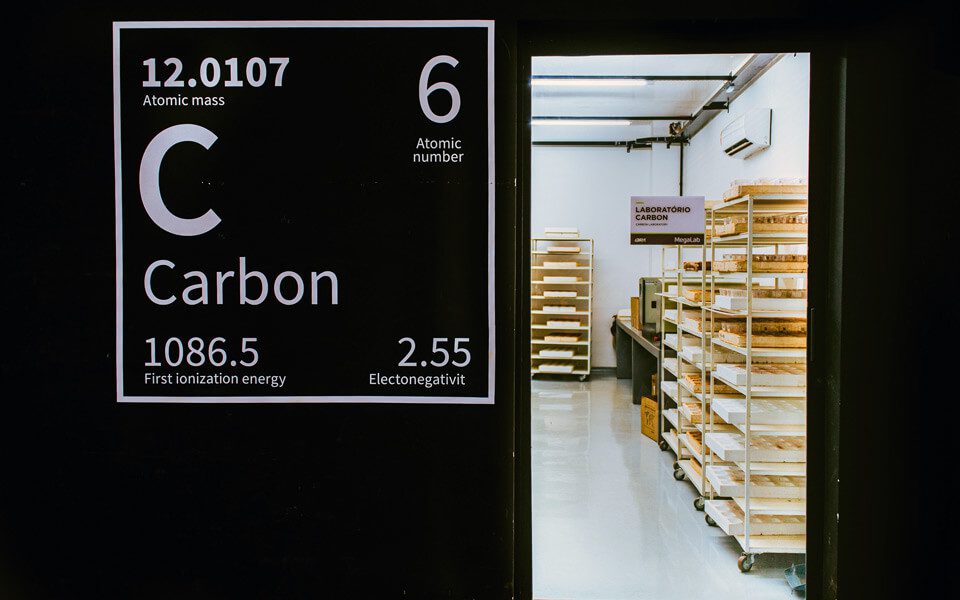 Análise de carbono: frações lábeis