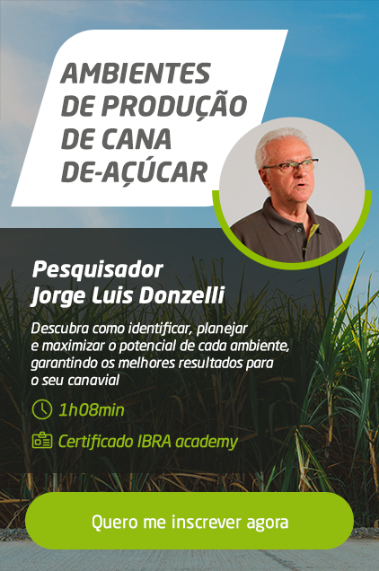 Curso - Cana-de-Açúcar