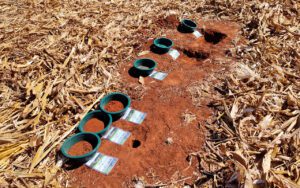 Déficit de análise de solo custa eficiência e produtividade ao agro