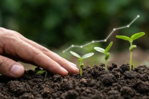 Falhas de manejo que drenam margem sem você perceber