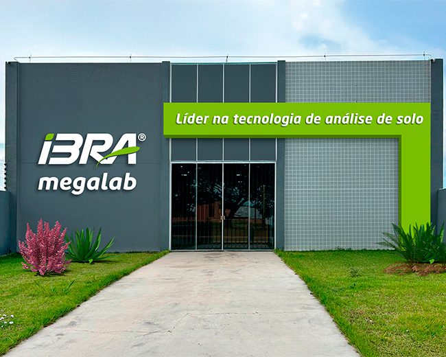 LEM / BA
