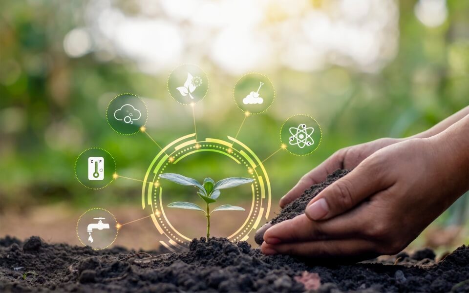Conscientização Ambiental