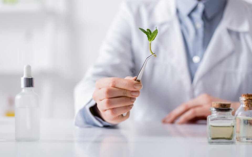 Avaliação do tecido vegetal