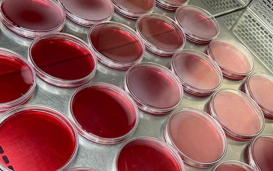 O que nossos laboratórios oferecem?