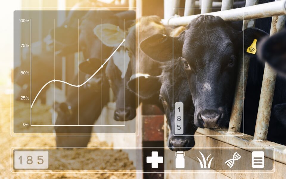 Planejamentos alimentares eficientes