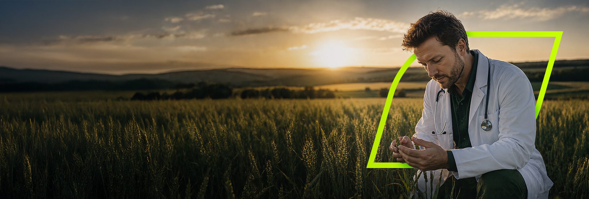 V2 – Full Banner 02